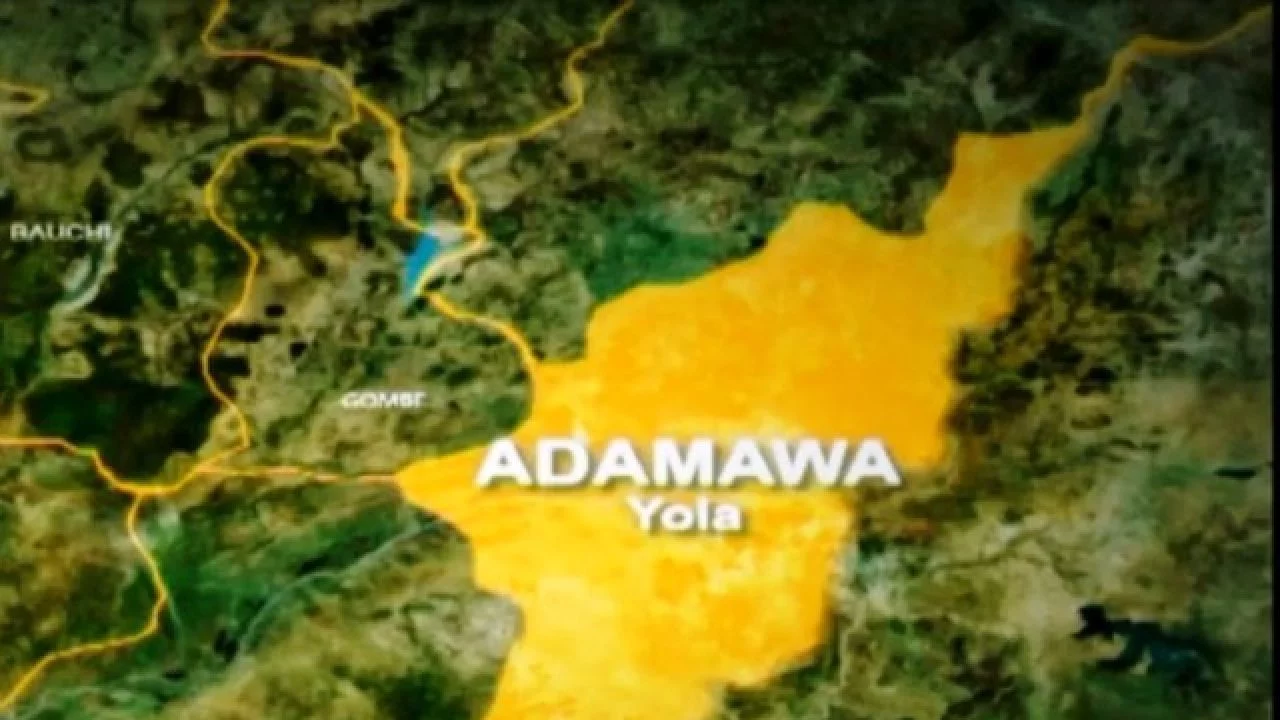 Man arrested for sexually assaulting 13-year-old housegirl in Adamawa