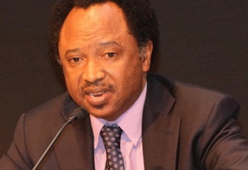 2027: Rotational Presidency Will End If… – Shehu Sani